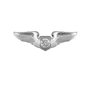 Air Force Badge: Air Battle Manager - miniature